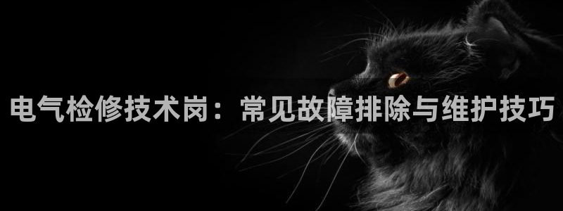 凯发旗舰客户端：电气检修技术岗：常见故障排除与维护
