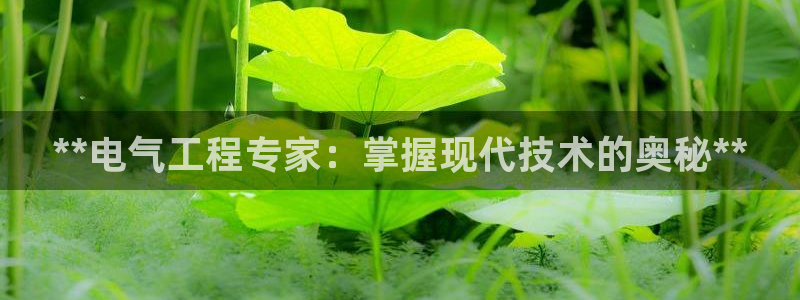 凯发旗舰厅网站：**电气工程专家：掌握现代技术的奥