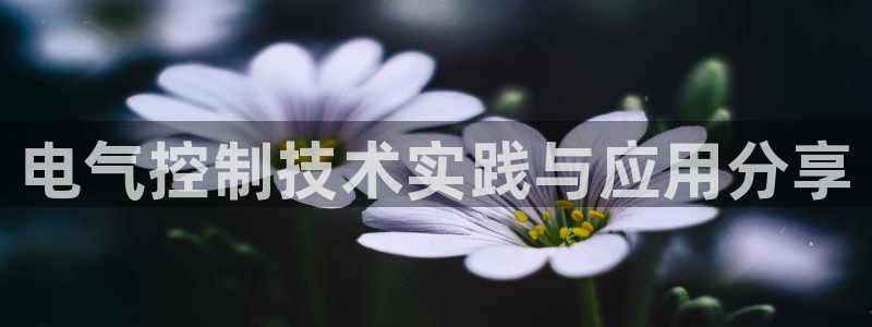 凯发最新官方app下载：电气控制技术实践与应用分享
