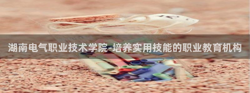 凯发平台网址：湖南电气职业技术学院-培养实用技能的