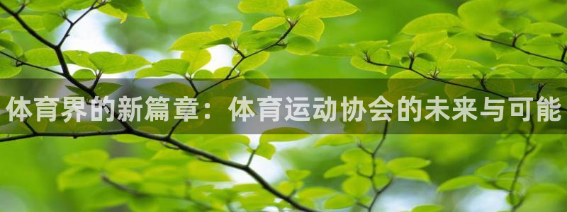 风速体育nba直播