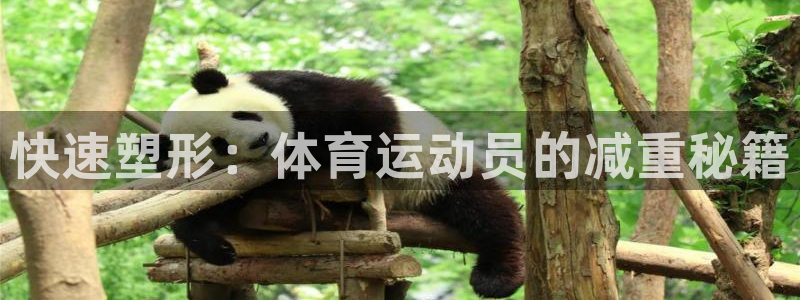 风速体育cba直播