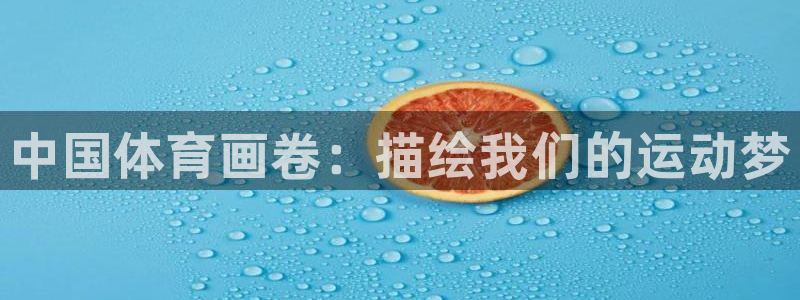 风速体育官网