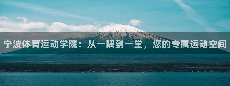 风速体育官网