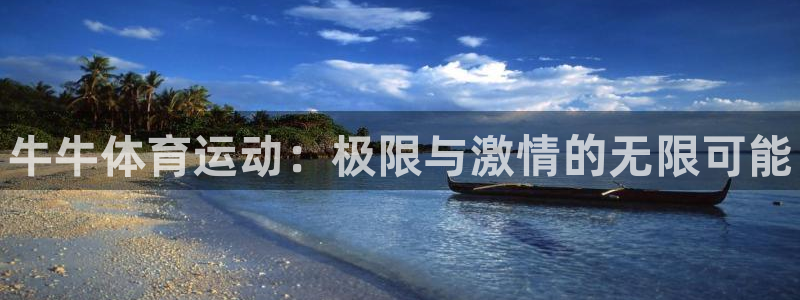 风速体育nba免费直播