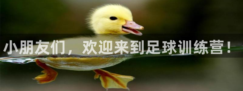 风速体育app下载官网最新版