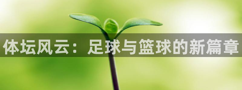 风速体育官网