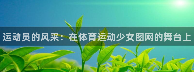 风速体育nba直播