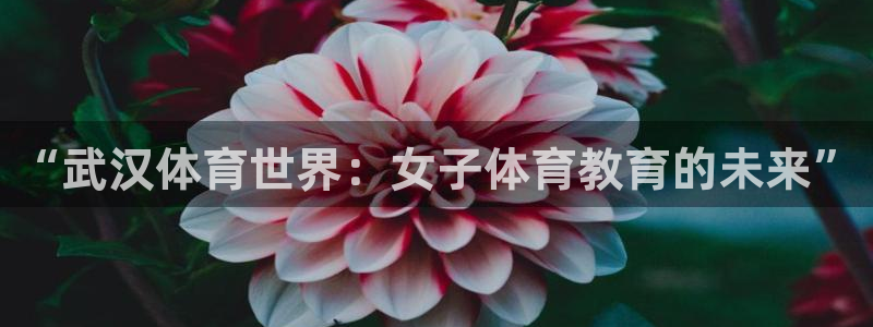 风速体育cba直播