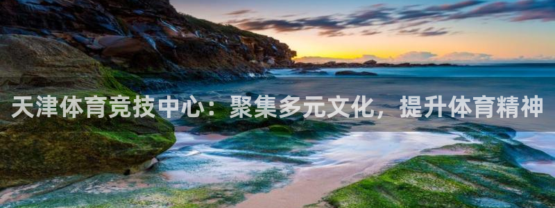 风速体育app官方下载