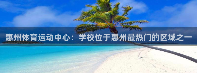 风速体育直播