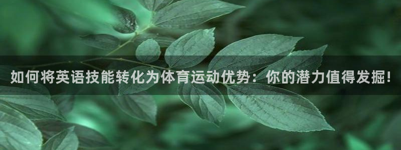 风速体育官网