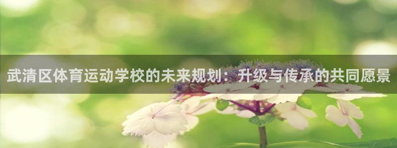 风速体育直播app