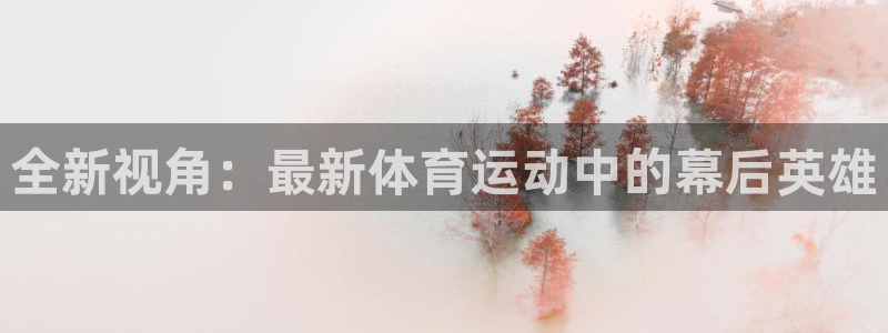 风速体育官网