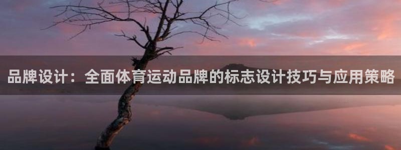 风速体育直播