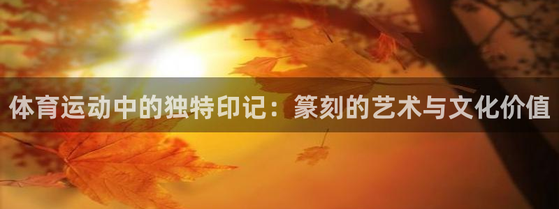 风速体育