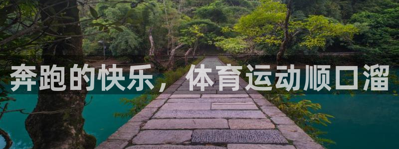 风速体育直播app