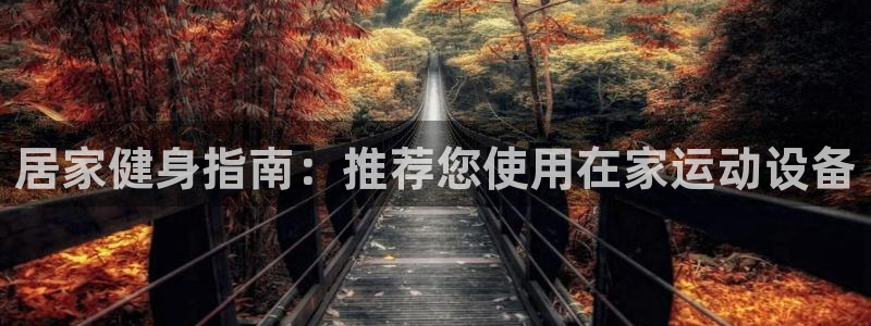 风速体育
