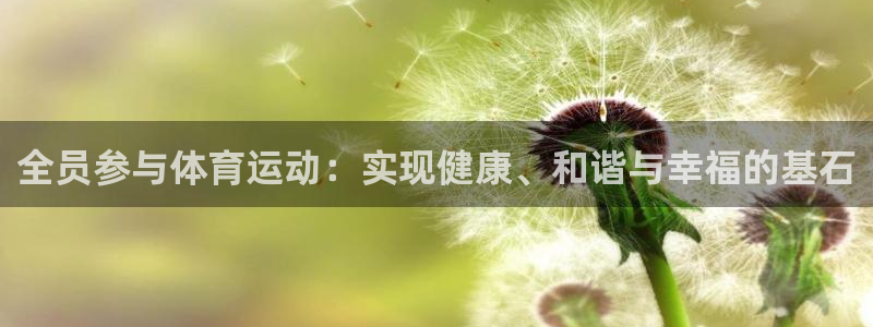 风速体育直播