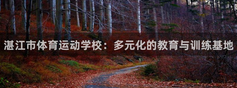 风速体育app