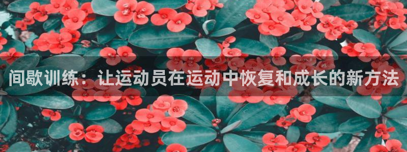 风速体育下载