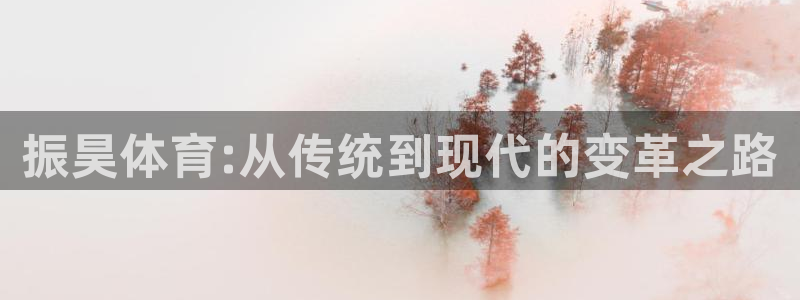 风速体育app下载官网最新版