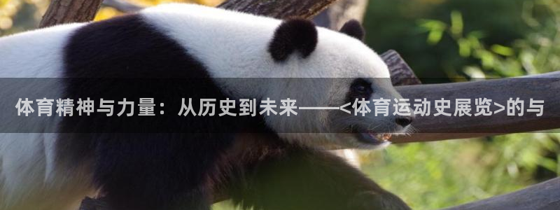 风速体育官网