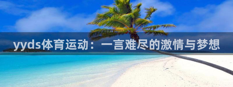 风速体育app