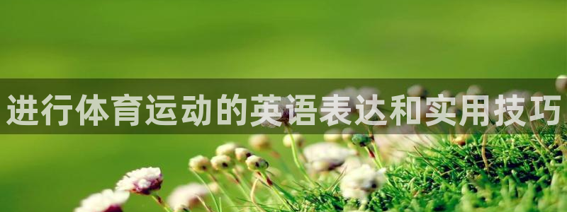 风速体育