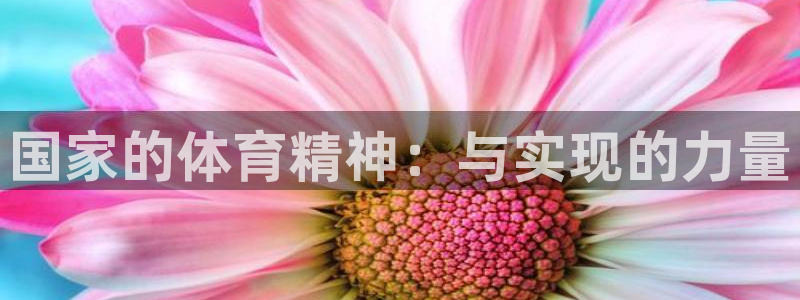 风速体育