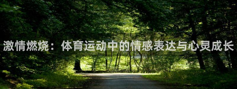 下载风速体育