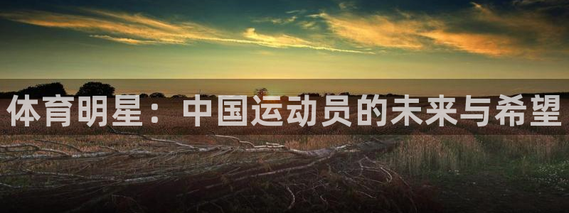 风速体育app下载安装最新版本