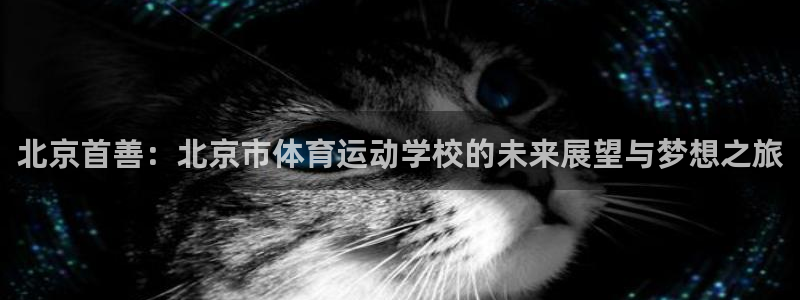 风速体育nba直播