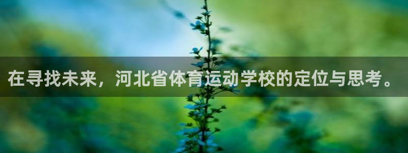 下载风速体育