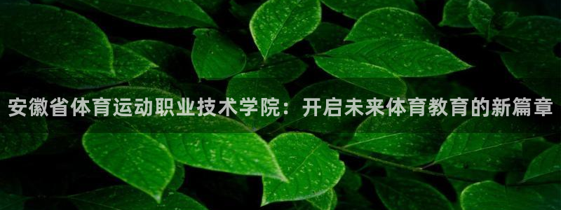 风速体育直播app