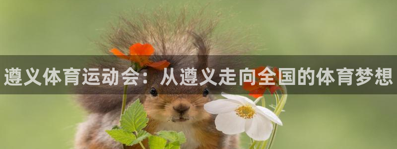 风速体育nba免费直播