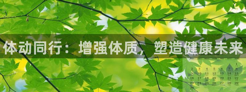 风速体育app官方下载
