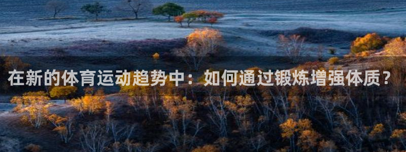 风速体育app下载官网最新版