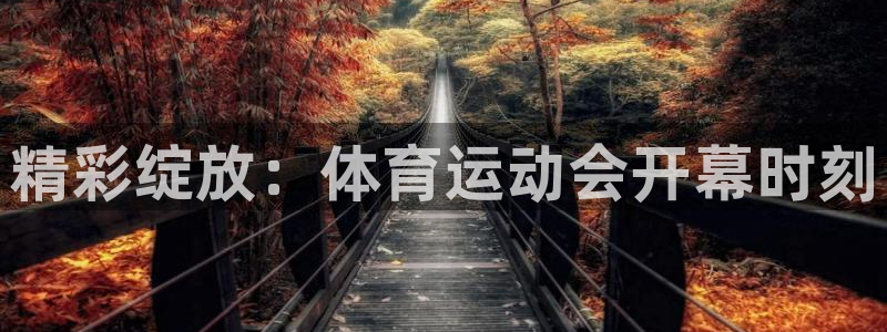 风速体育直播