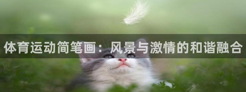 风速体育nba免费直播