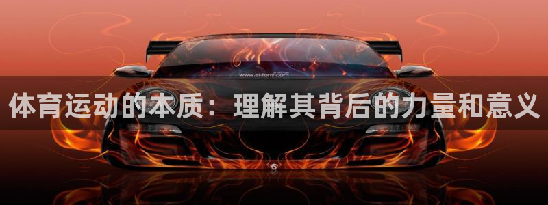 风速体育