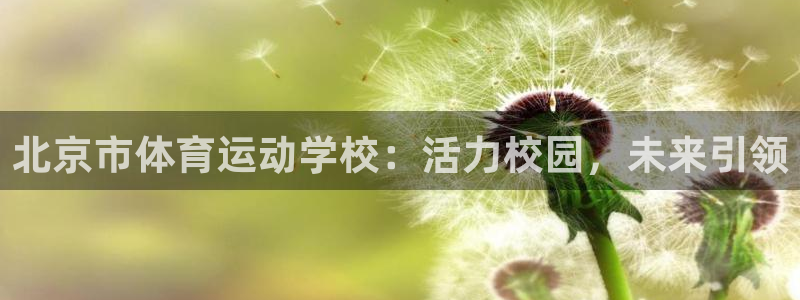 风速体育app官方下载