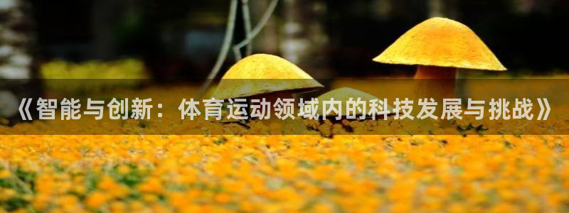 风速体育nba免费直播