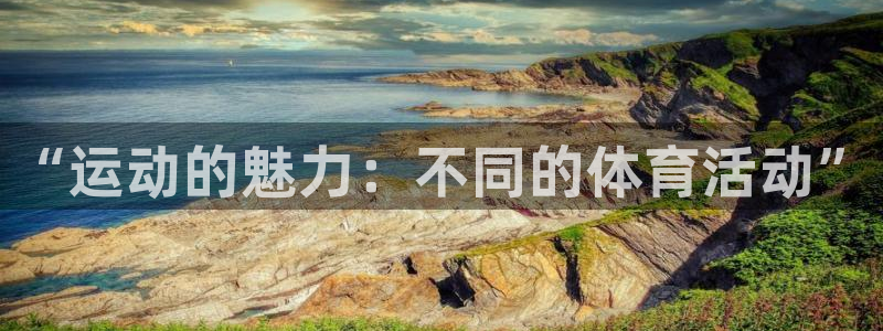 风速体育直播