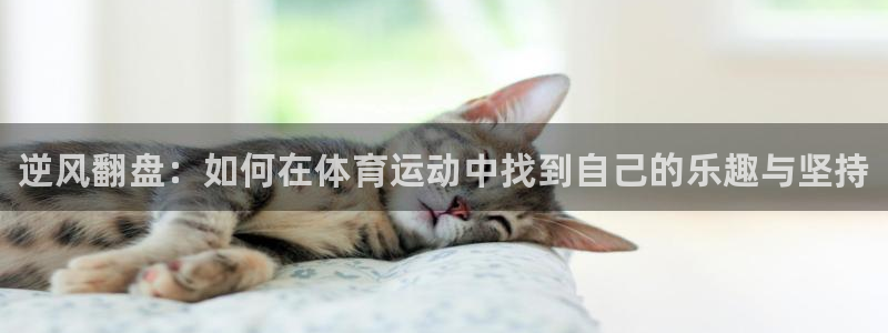 风速体育nba直播