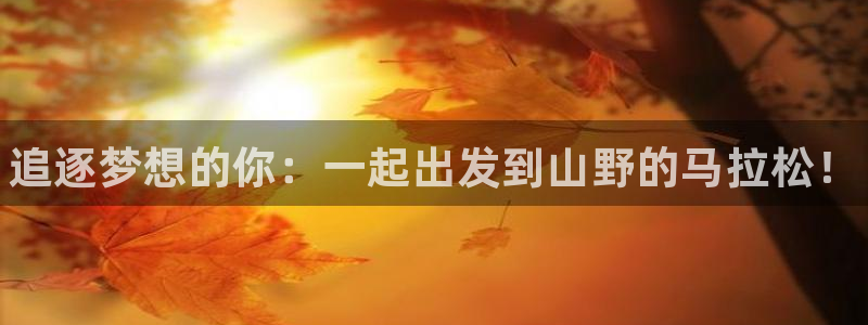 风速体育app