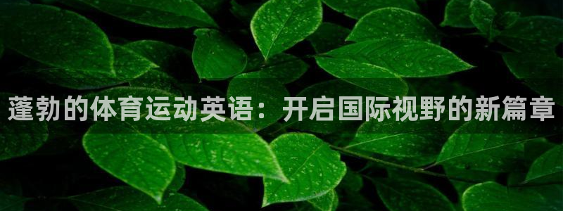 风速体育app
