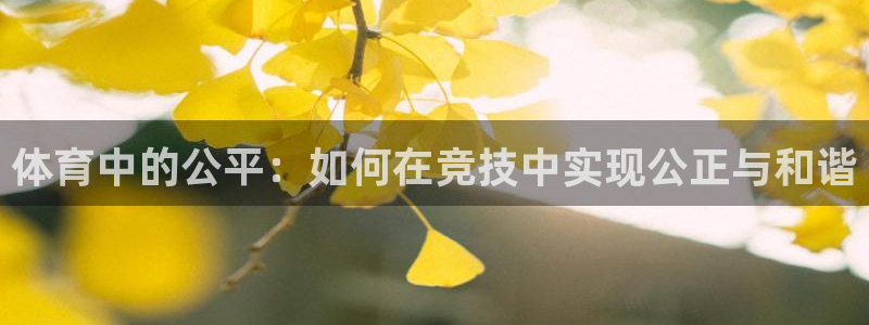 风速体育cba直播