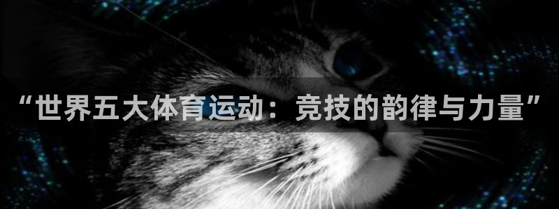 风速体育nba直播