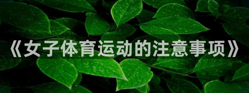 风速体育app官方下载